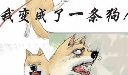 惬意吃瓜小说免费阅读,畅游惬意吃瓜小说世界